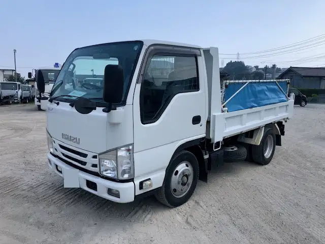 いすゞ エルフ 小型 ダンプ 強化 コボレーン の中古トラック【車両No.193031】